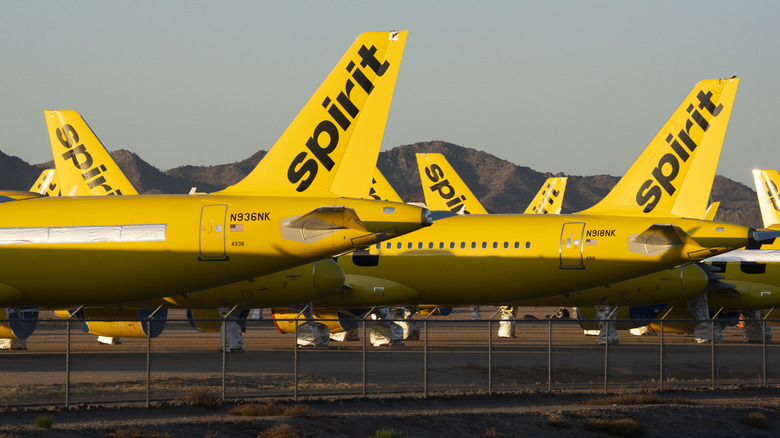 Številna letala družbe Spirit Airlines parkirana v skladišču v puščavi Arizone