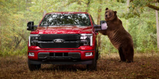 Ford je izbral medveda za preizkus varnostnega paketa F-150