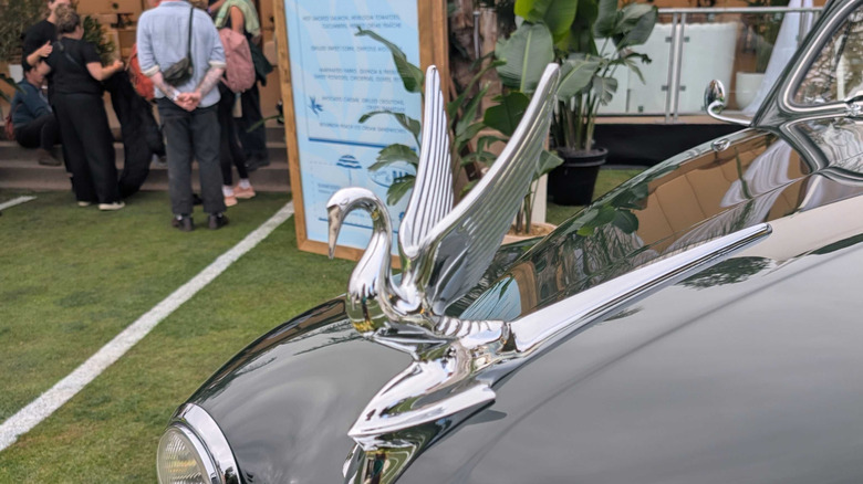 Bližnji posnetek pelikanskega okraska na pokrovu motorja Packard Super Eight