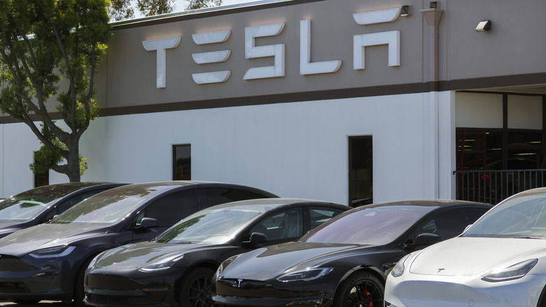 SAN DIEGO, KALIFORNIJA – 25. APRIL: električna vozila Tesla so parkirana v servisnem centru Tesla 25. aprila 2025 v San Diegu v Kaliforniji. (Fotografija Kevina Carterja/Getty Images)
