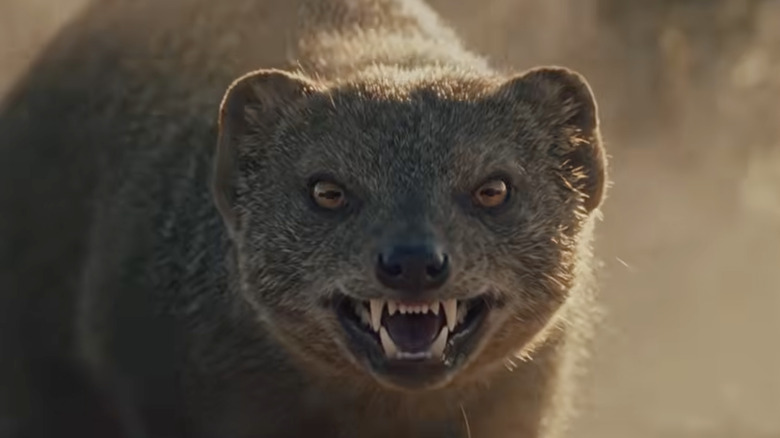 Dražilnik motorja GM Mongoose